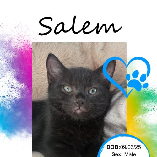 Salem