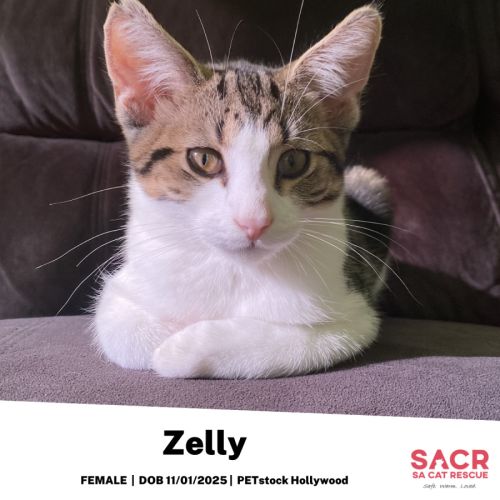 Zelly