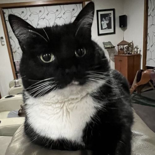 No photo for Nikita Aka Nikki