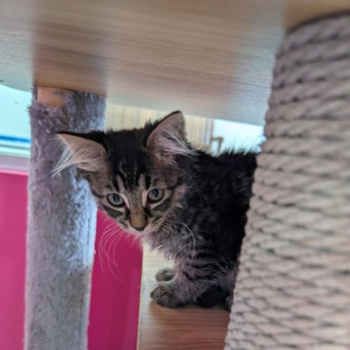 Sephora meet me@Petstock Clyde store