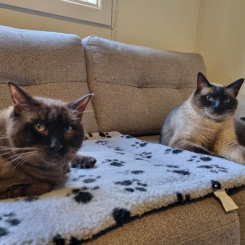 Frankie & Freddy - Located in Preston