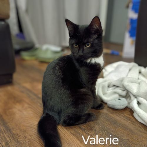 Valerie