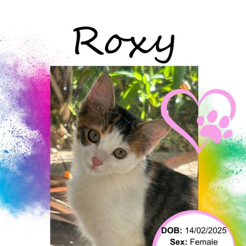 Roxy