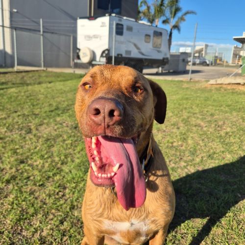 No photo for Rufus George (60897)