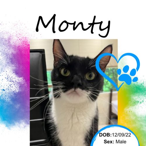 Monty