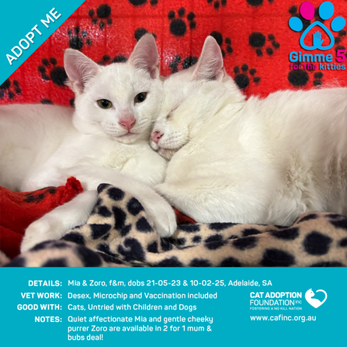 Zoro & Mia 2 for 1 Mum & Bubs Deal!