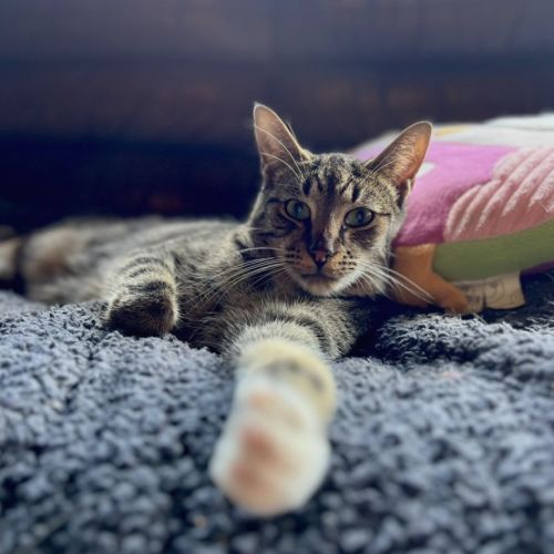 No photo for Jeffrey