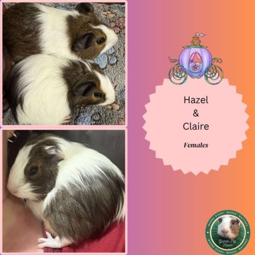 Hazel & Claire