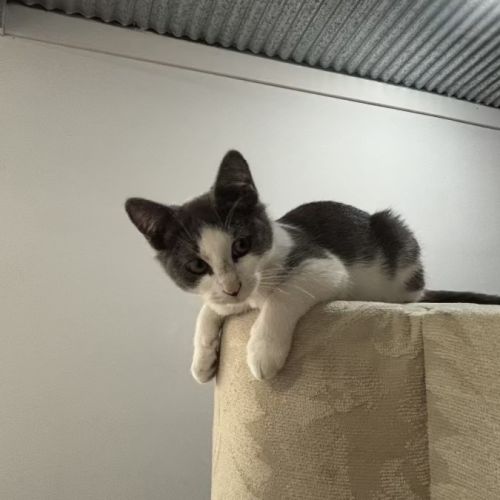 Mim Meet me @Ptstock Hastings