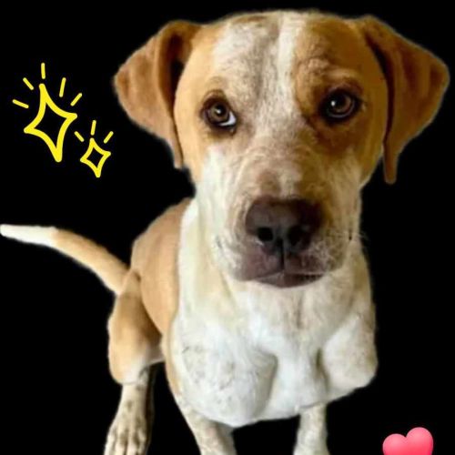 No photo for Bradley