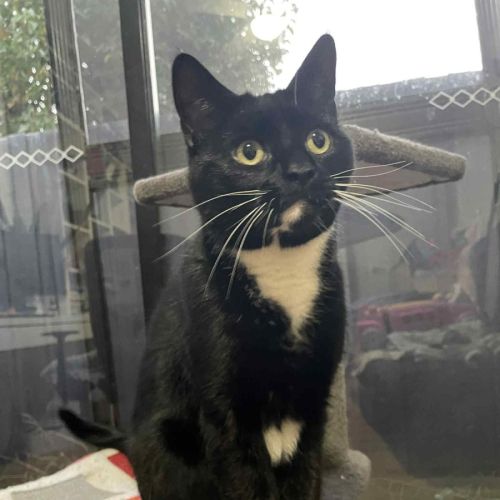 Hershey - Located in Bentleigh East