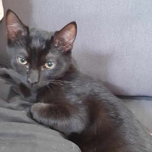 Salem
