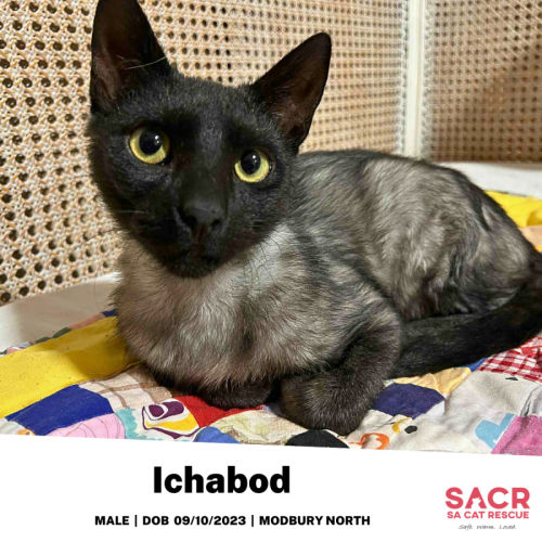 Ichabod