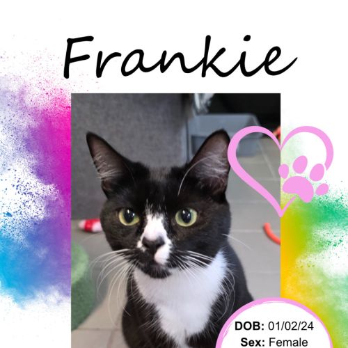 Frankie