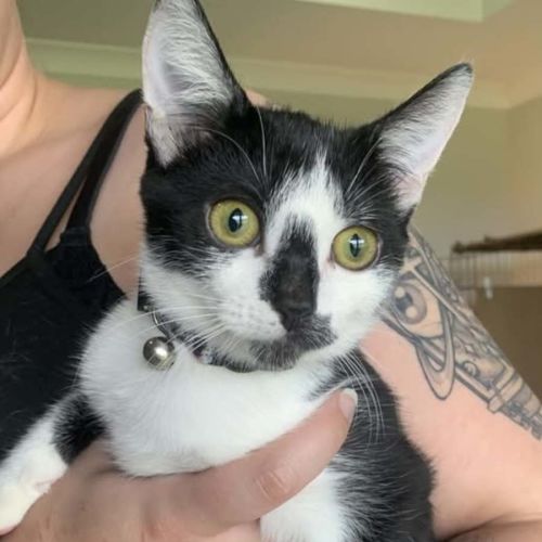 No photo for Siouxie