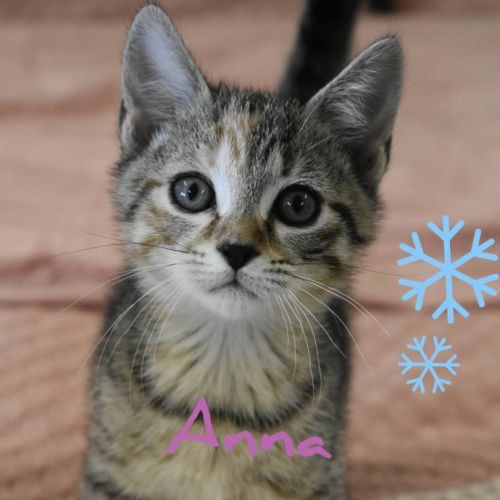 Anna
