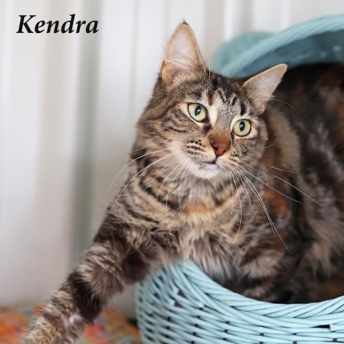 Kendra