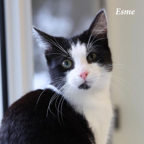 Esme