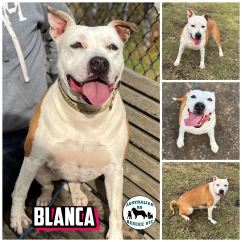 Blanca 