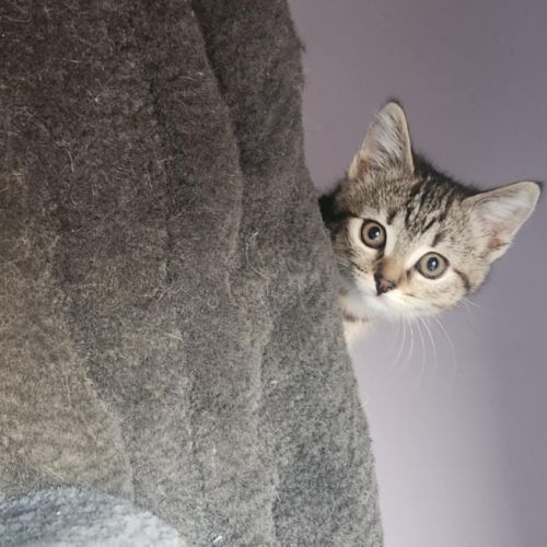 Margot - Located in Templestowe