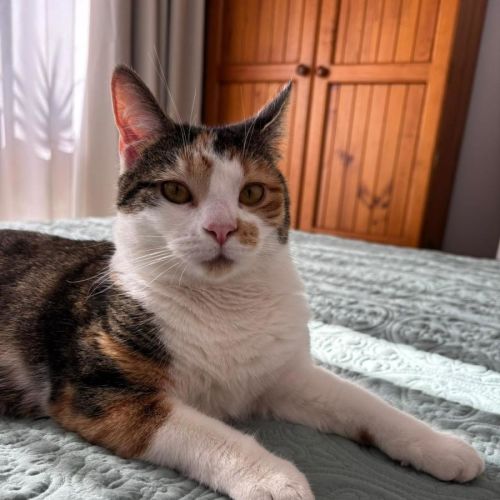 Zoe