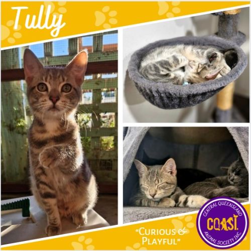 Tully