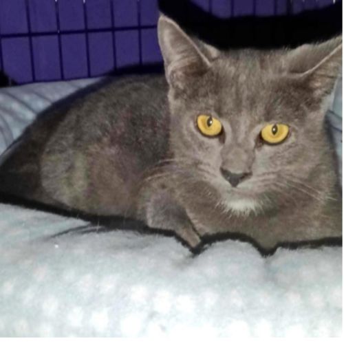 No photo for Lacey💗