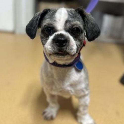 Max