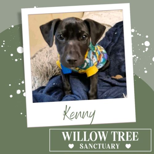 Kenny