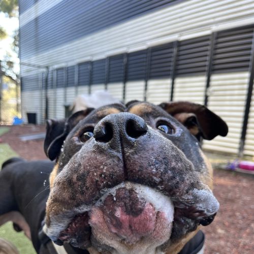 Zeus