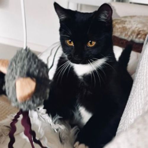 Eleanor