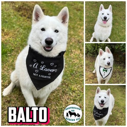 Balto 