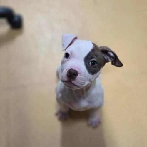 Ruth