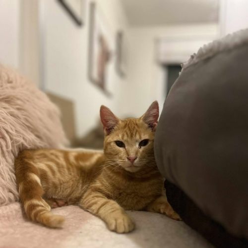 Gigi - Located in Frankston