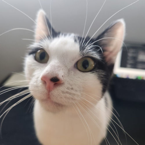 No photo for Grace Kelly