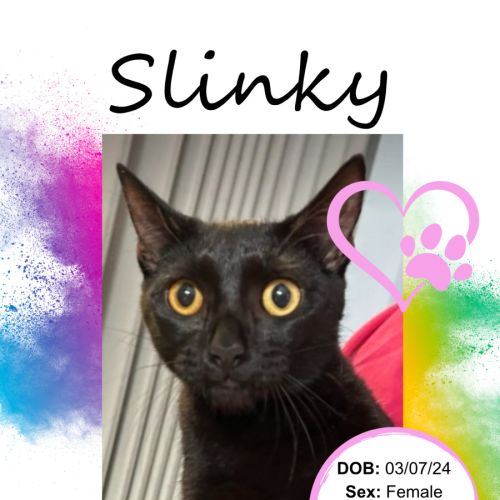 Slinky