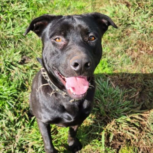 No photo for George 💜