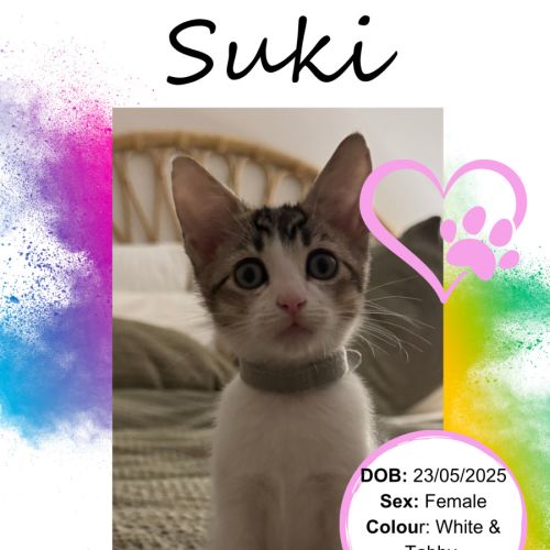 Suki