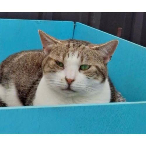 No photo for 8317   Beatrix