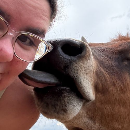 Biscuit, Bernard & Franklin