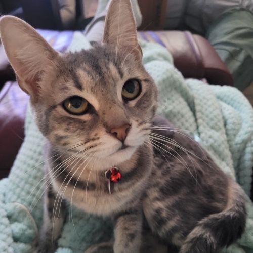 Nora