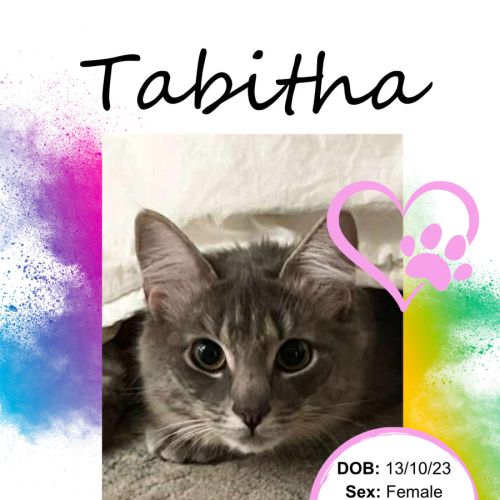 Tabitha