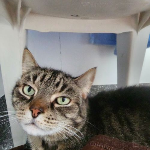 Princess and Skittles