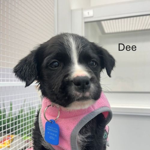 The Magnificent Seven!