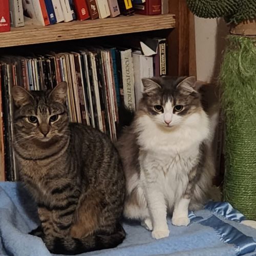 No photo for Siggy & Olli