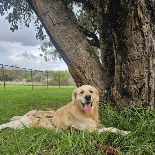 Oakley