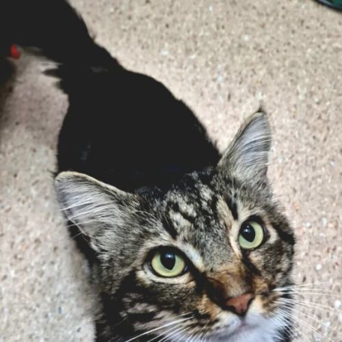 Jax