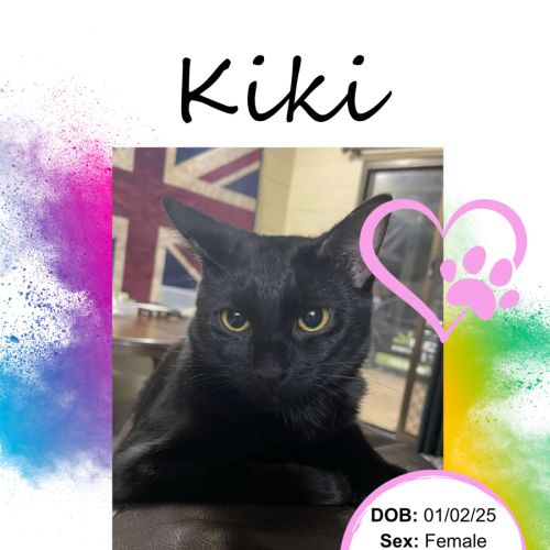 Kiki