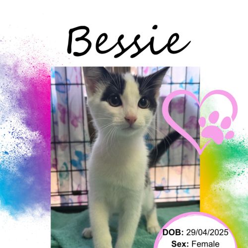 Bessie