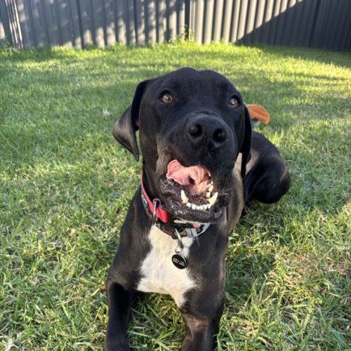 Max